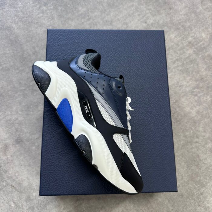 Dior | B22 white blue Schoenen